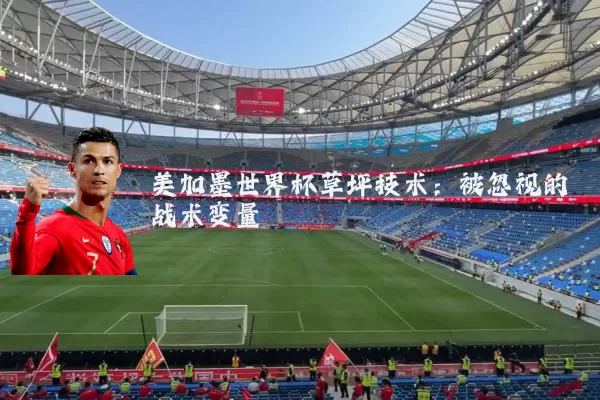 美加墨世界杯草坪技术：被忽视的战术变量